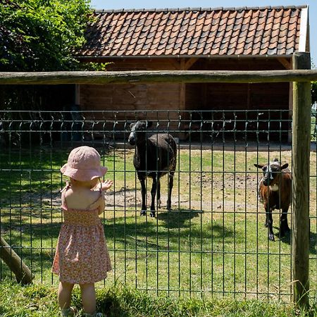 Hoeve De Binnenplaets Schimmert Экстерьер фото