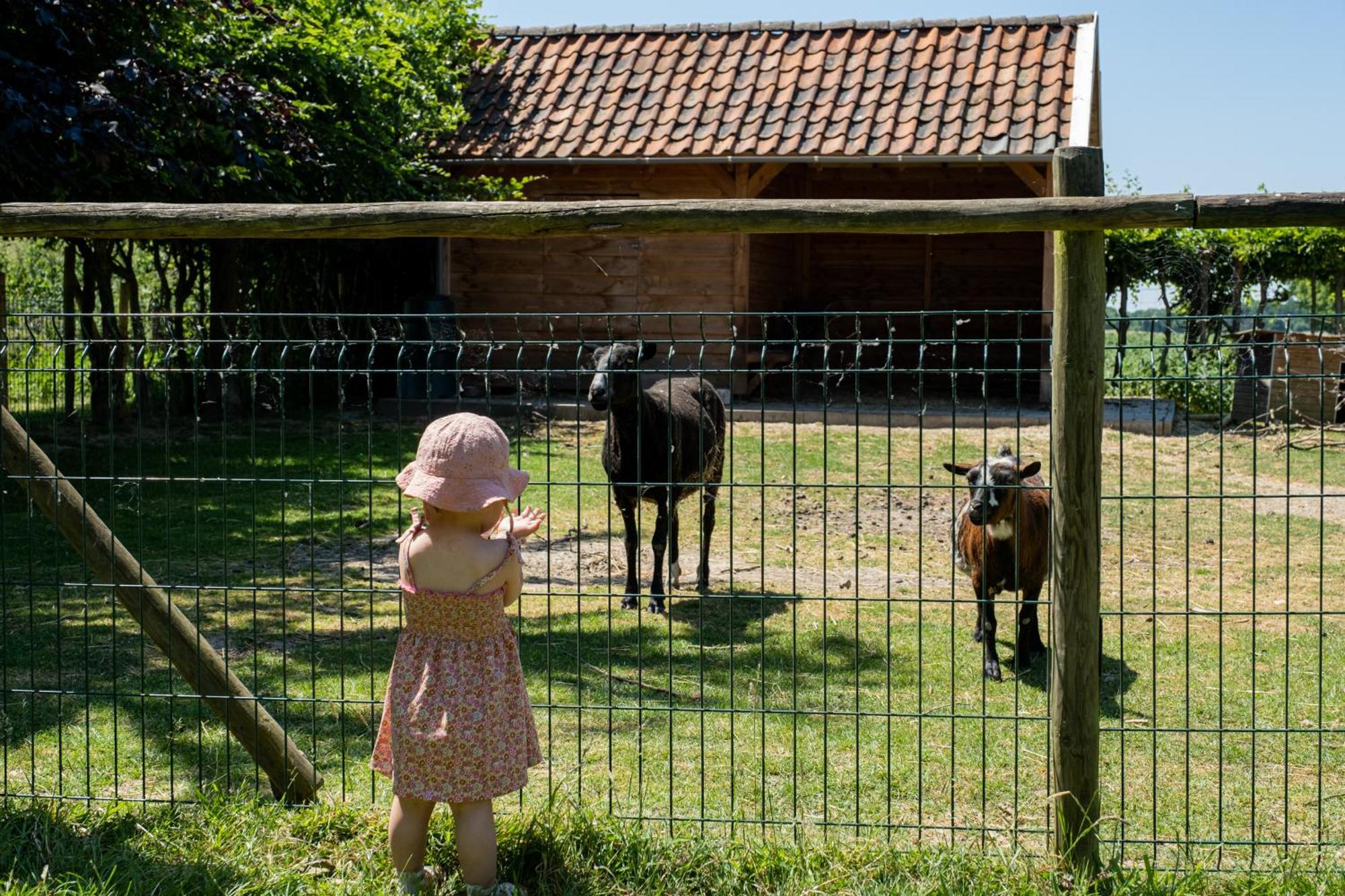 Hoeve De Binnenplaets Schimmert Экстерьер фото
