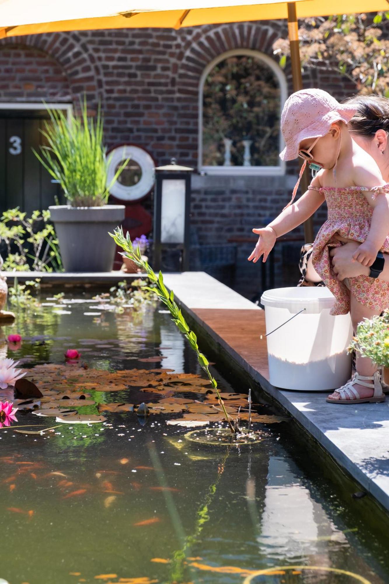 Hoeve De Binnenplaets Schimmert Экстерьер фото